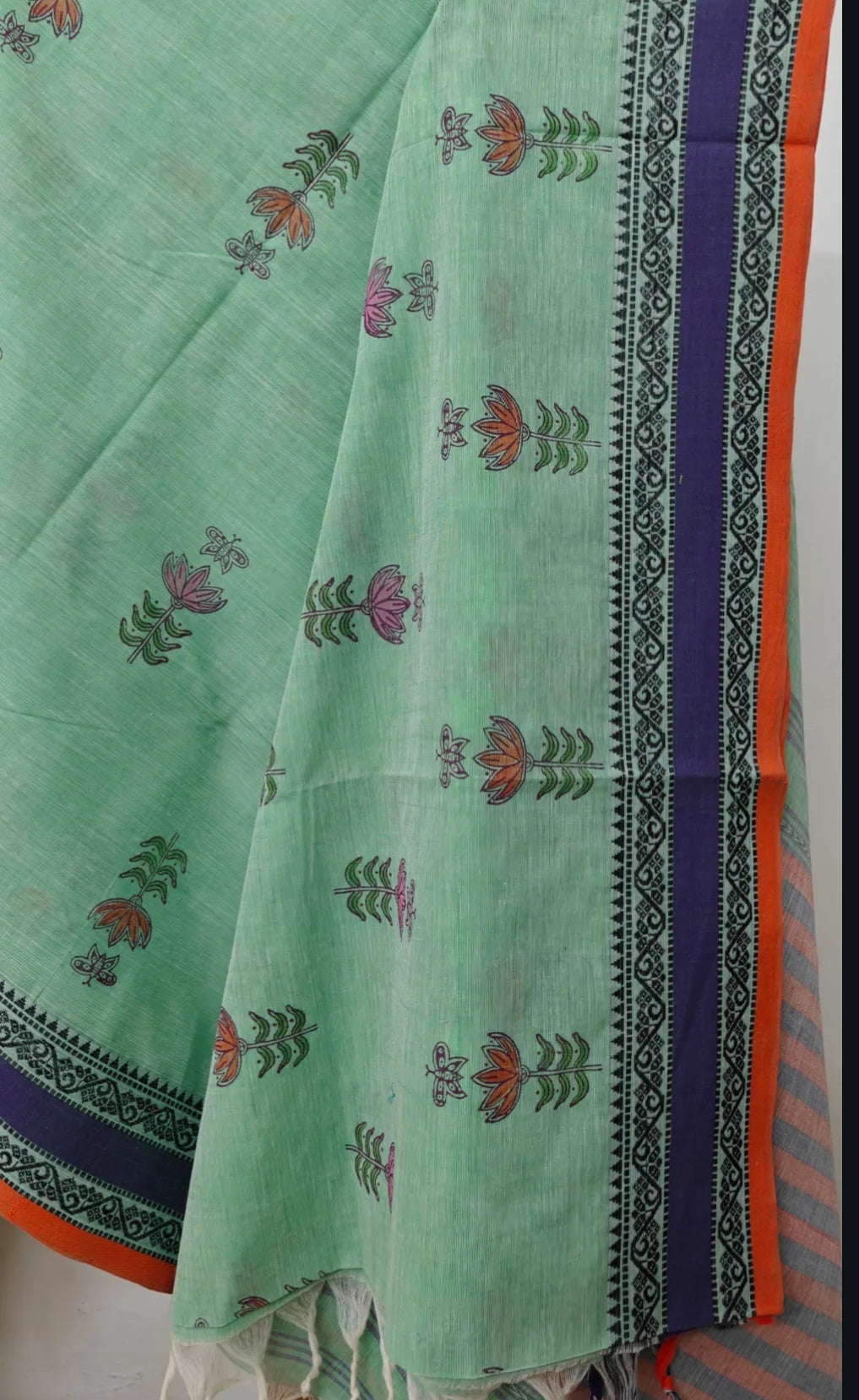 Chitra: Hand painted handloom cotton saree